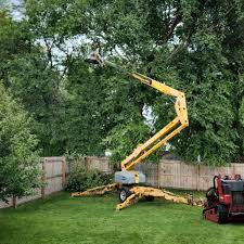 Best Landscape Design and Installation  in Kinnelon, NJ