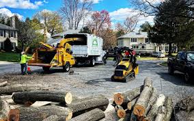  Kinnelon, NJ Tree Removal Pros