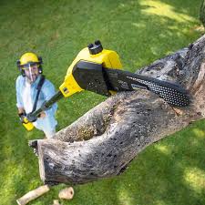 Best Lawn Maintenance Plans  in Kinnelon, NJ